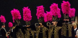 Citrines to host annual carnival in Hackworth Park