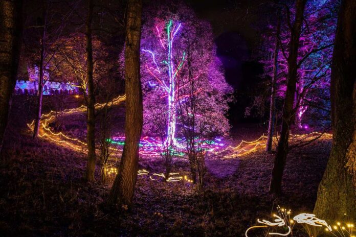 aglow-the-auckland-project