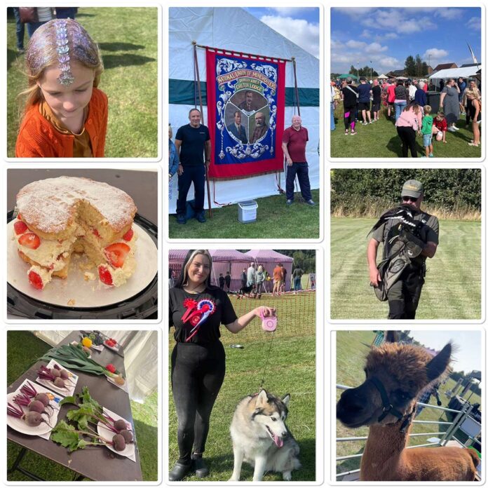 chilton-annual-show