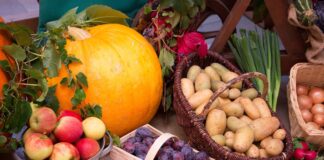 Church seeks Harvest Festival donations