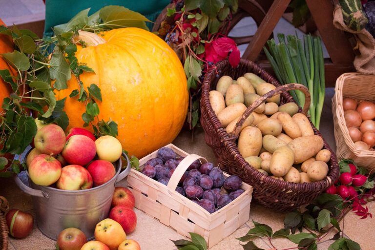 Church seeks Harvest Festival donations