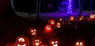 Palace Pumpkin forest to celebrate autumn