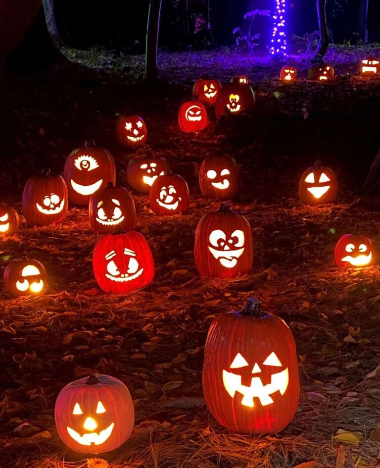 Palace Pumpkin forest to celebrate autumn Palace Pumpkin forest to celebrate autumn