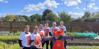 Allotments alive as B&Q store volunteers Do it Themselves