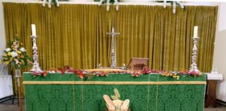 Harvest Festival helps local families