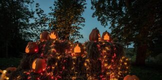 Palace hosts pumpkin party