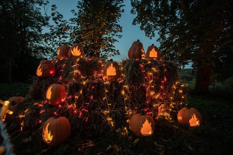 Palace hosts pumpkin party