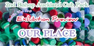 Cubs invite you to their exhibition