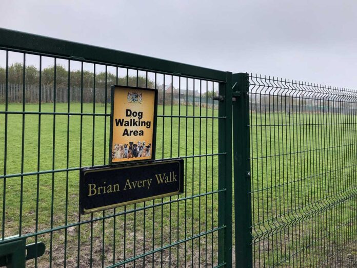brian-avery-walk