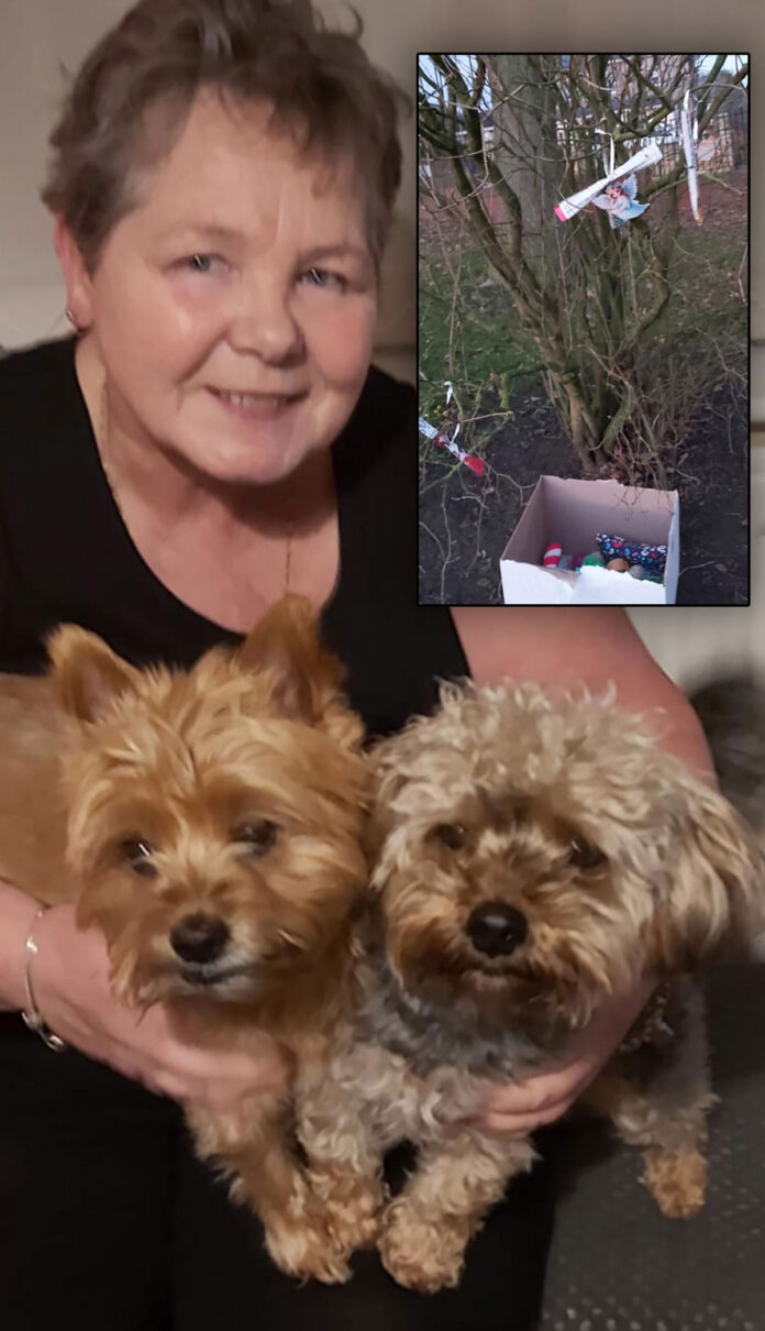 gina-benson-butler-treat-tree