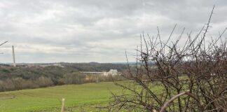 Discarded documents reveal housing development plan near Ferryhill Carrs