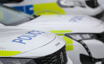 Nine arrests in drug busts