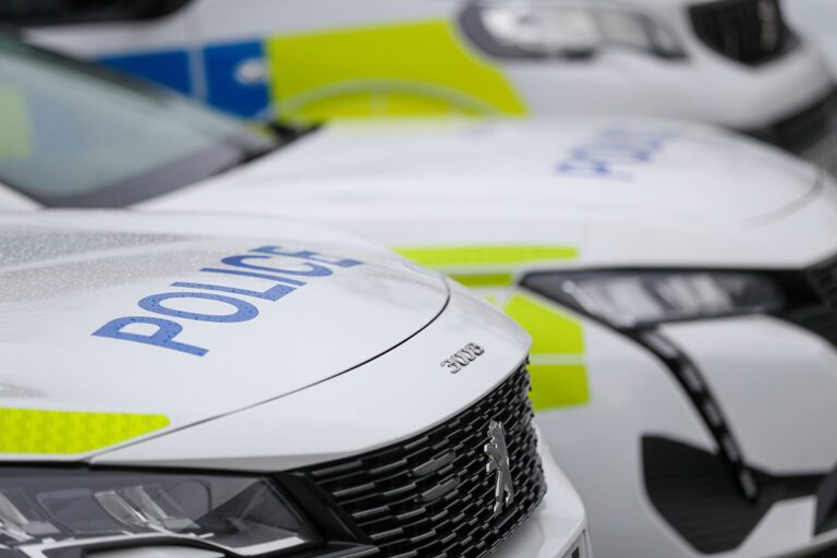Nine arrests in drug busts Nine arrests in drug busts