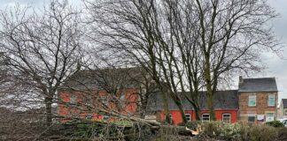 Independent County Councillor Update