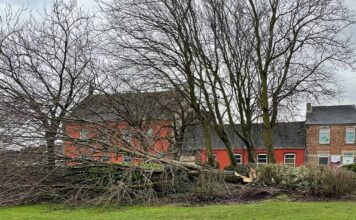 Independent County Councillor Update