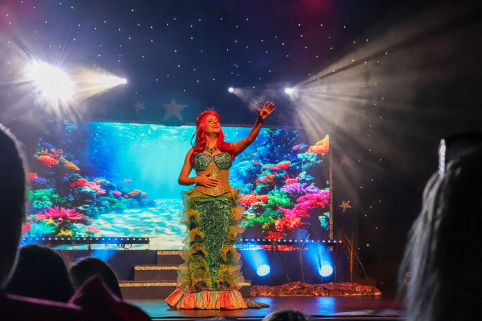 the-little-mermaid