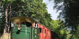 Engines, local art and family fun