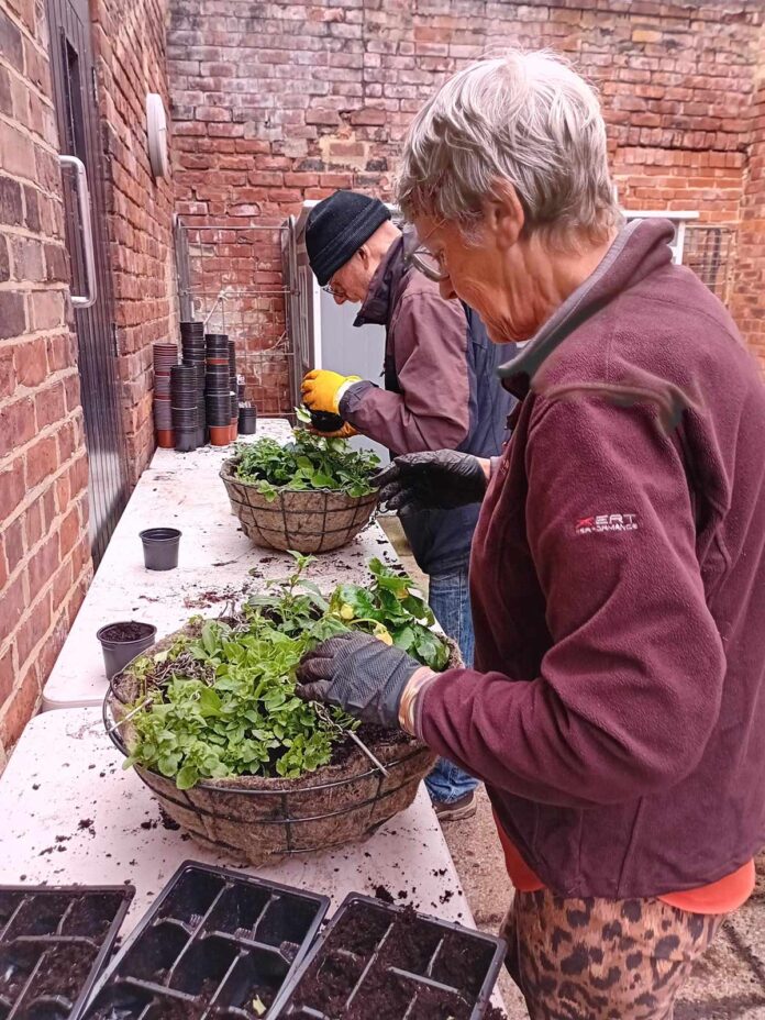 garden-volunteer