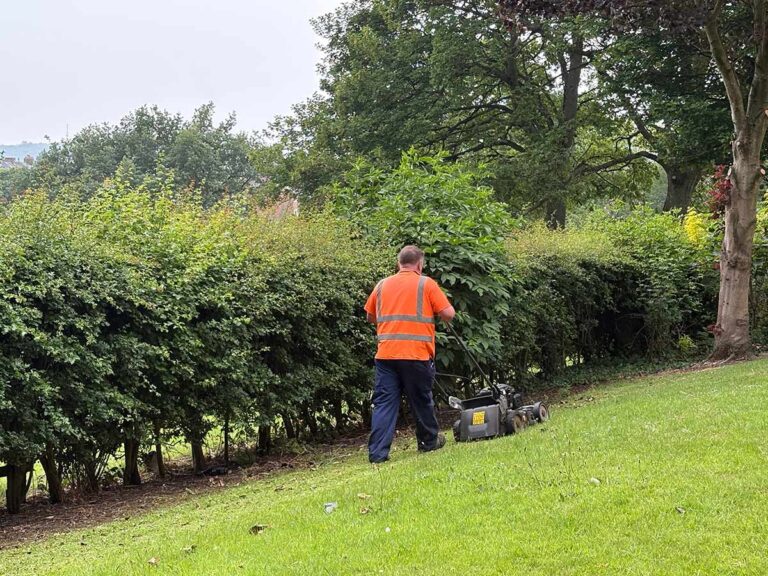 A Need for Weeds versus a Passion for Prim