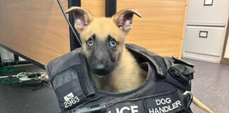 Jager joins the police dogs