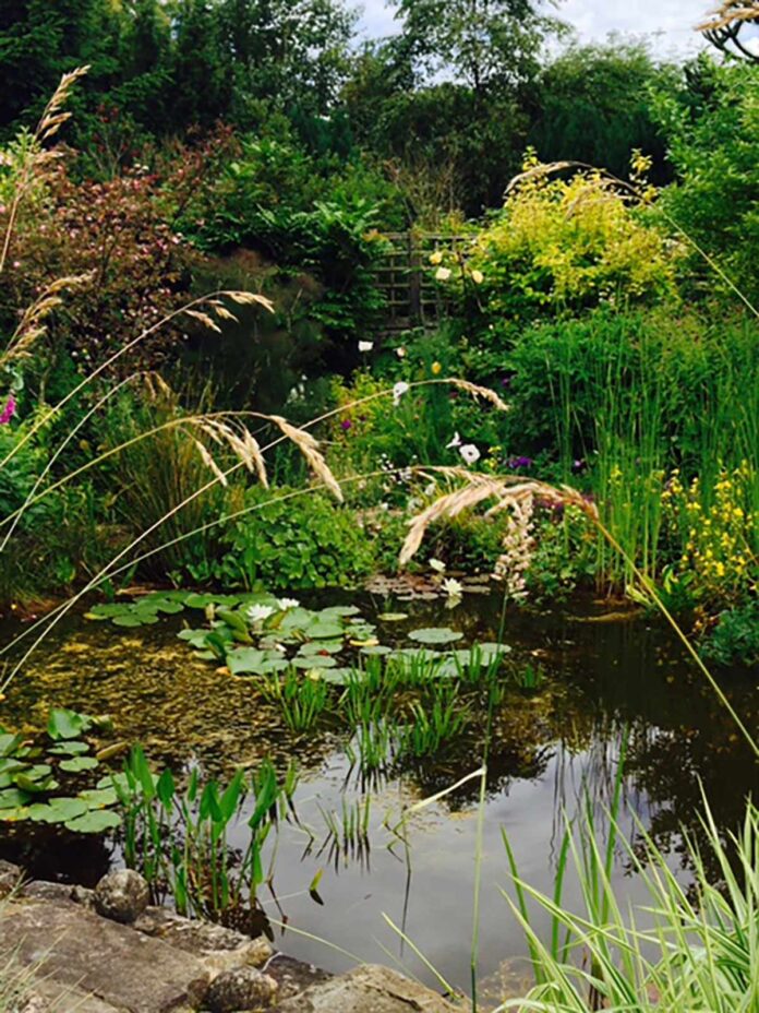marys-marie-curie-garden