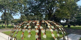 Mulberry Memorial Tree