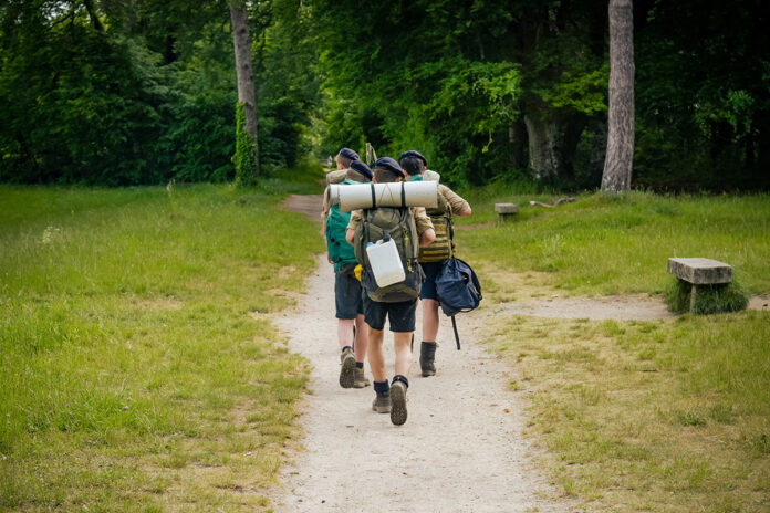 scouts
