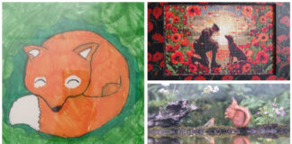 Art & Photography exhibition winners