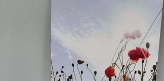 Chilton’s Royal British Legion Poppy Appeal