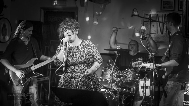 Gig Review: Piracy Rock The Penny Gill