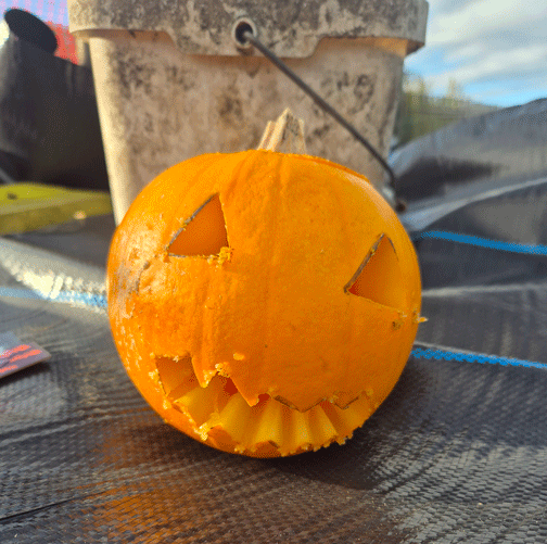 pumpkin-patch-event-ferryhill