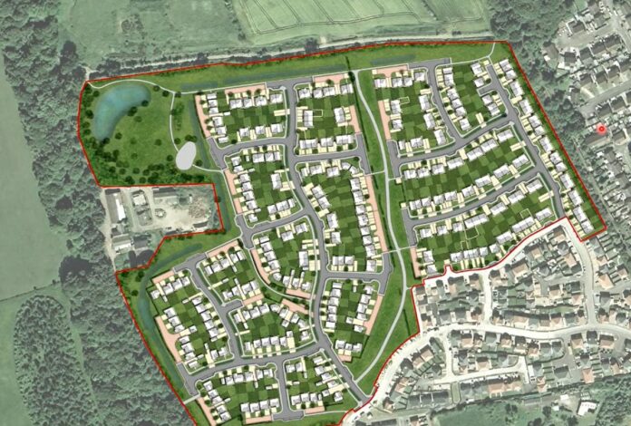 299-homes