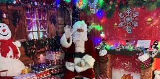 Ferryhill Christmas Fayre and Lights
