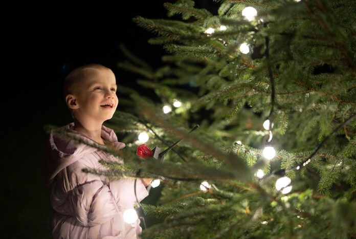 christmas-lights-bonnie