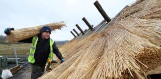 Raising the Roof – ‘Hollywood’ Thatchers add star quality to Kynren’s landmark new attraction