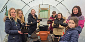 Seed sowing begins at The Humble Garden