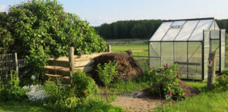 Allotment policy changes