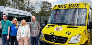 Bridge Creative and Billy’s Bus to give furry friends a doggy day out