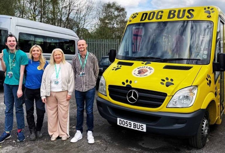 Bridge Creative and Billy’s Bus to give furry friends a doggy day out