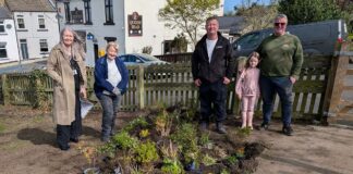 Newfield community planting project