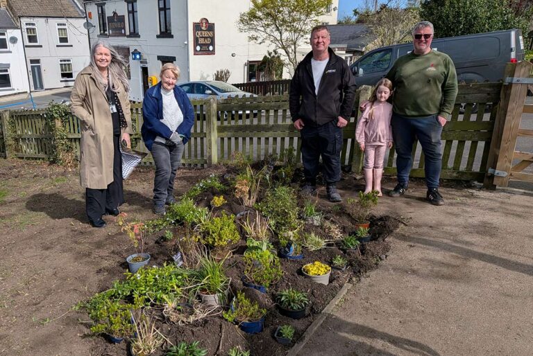 Newfield community planting project