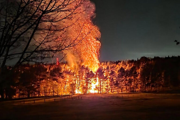 Fire in Tudhoe Woods