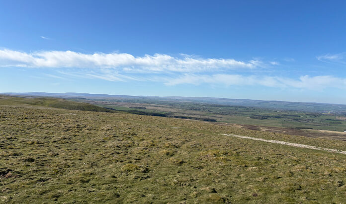 wind-farm-2