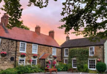 A toast to two decades at The Green Tree pub