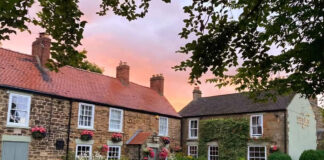 A toast to two decades at The Green Tree pub