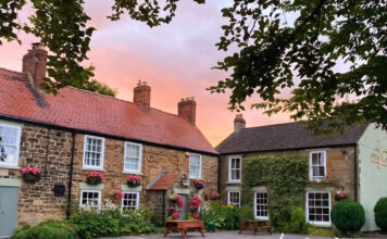 A toast to two decades at The Green Tree pub