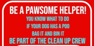 Chilton’s pupils are leading the fight against dog fouling through a creative new poster campaign