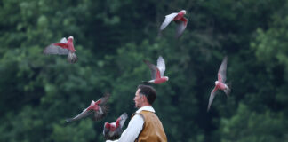 The Birdman of Kynren
