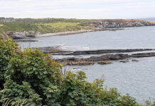 Northumberland walks