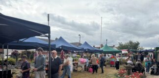 Residents enjoy fun of the fayre at Ferryhill Summer Gala 2026